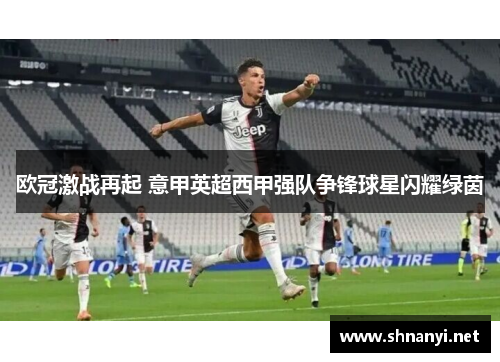 欧冠激战再起 意甲英超西甲强队争锋球星闪耀绿茵 欧冠激战再起 意甲英超西甲强队争锋球星闪耀绿茵